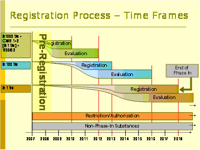 REACh Registration Process